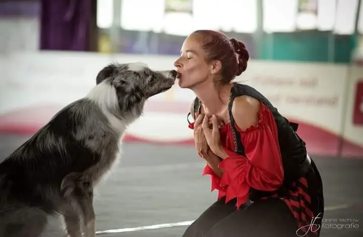 Dogdance Seminar
